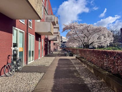 Groenmarktstraat 6, Utrecht