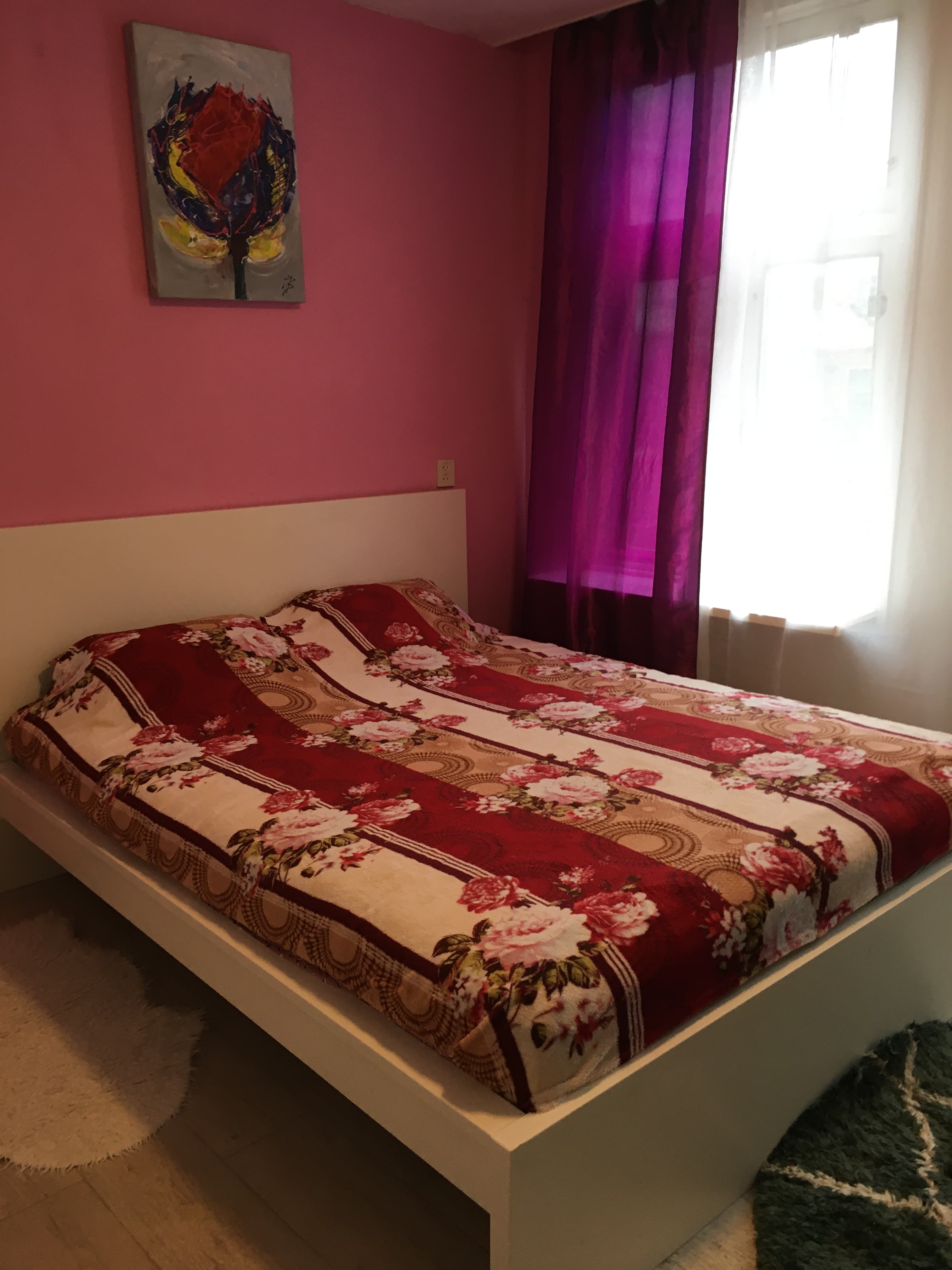 Nova Zemblastraat, Amsterdam