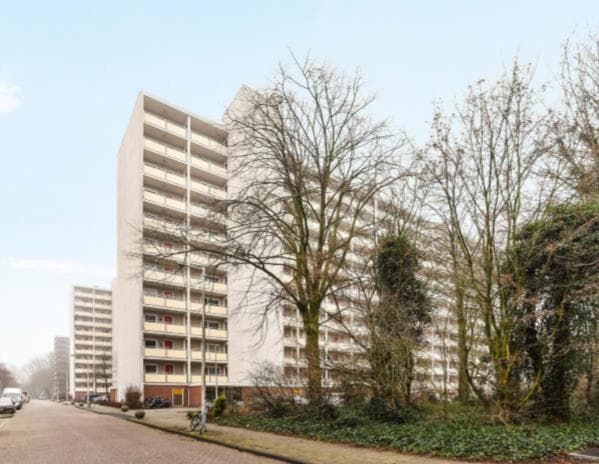 De Egmondenstraat, Amsterdam