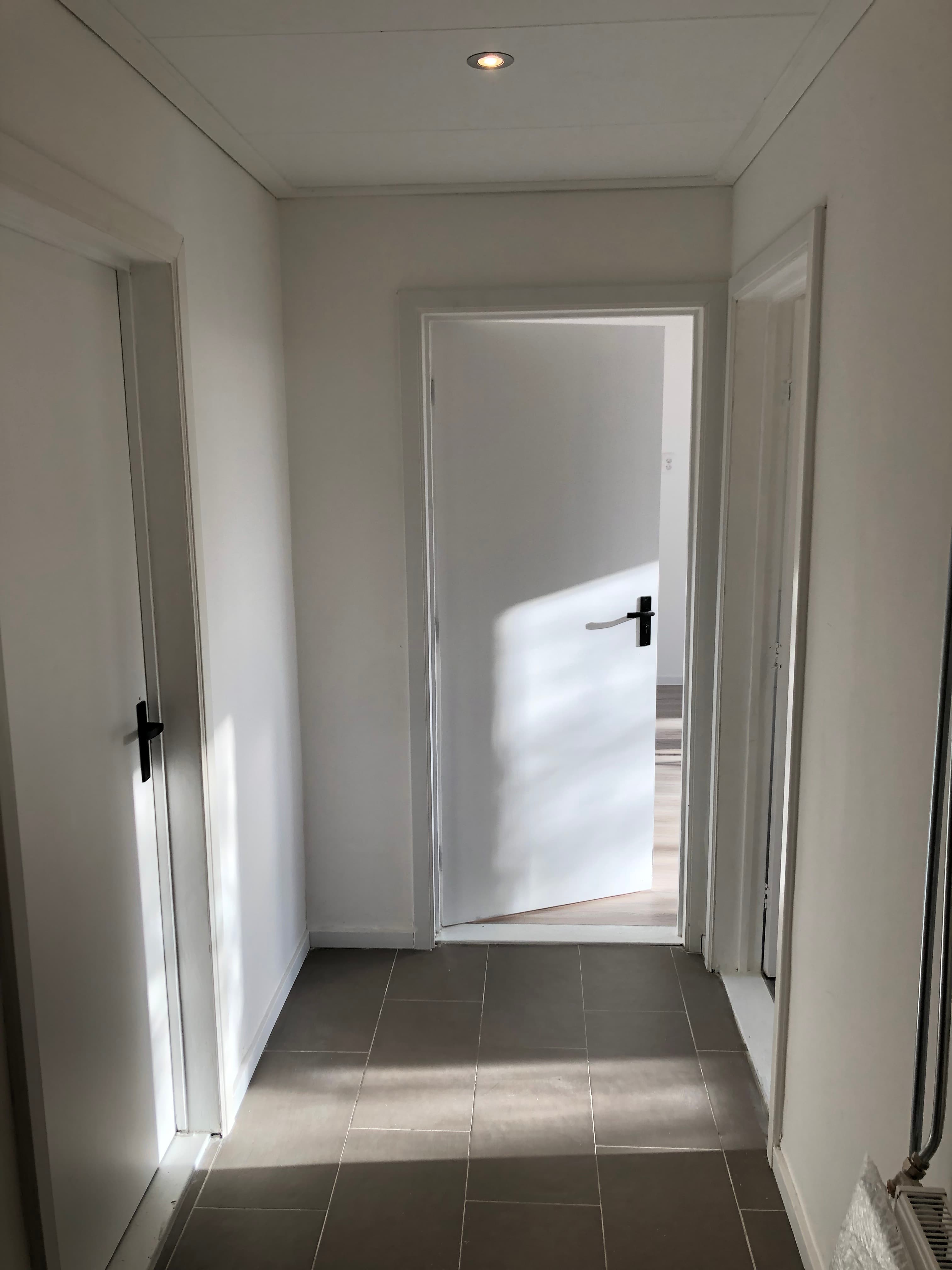 Dierenriemstraat, Groningen