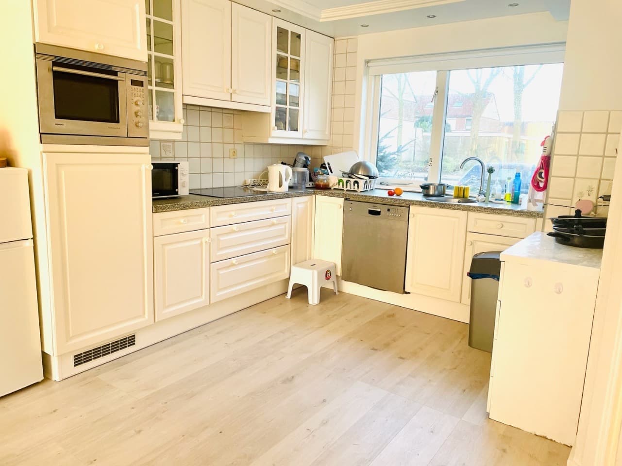 Professor Eijkmanlaan, Haarlem