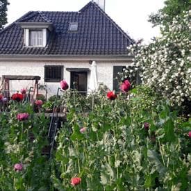 Apollolaan, Enschede