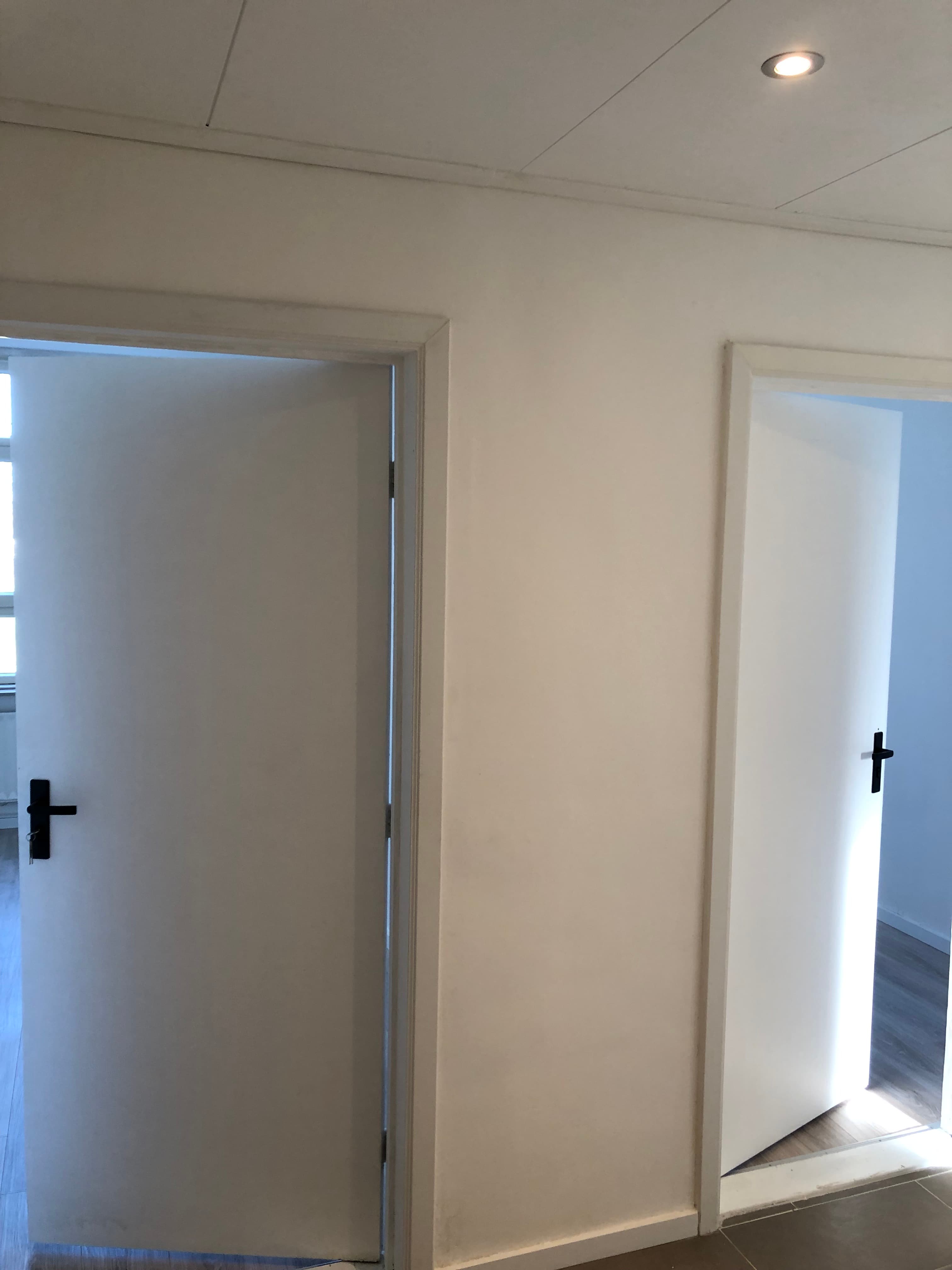 Dierenriemstraat, Groningen