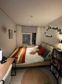 Remuslaan, Eindhoven