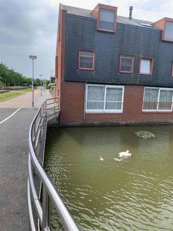Galgenraklaan, Utrecht
