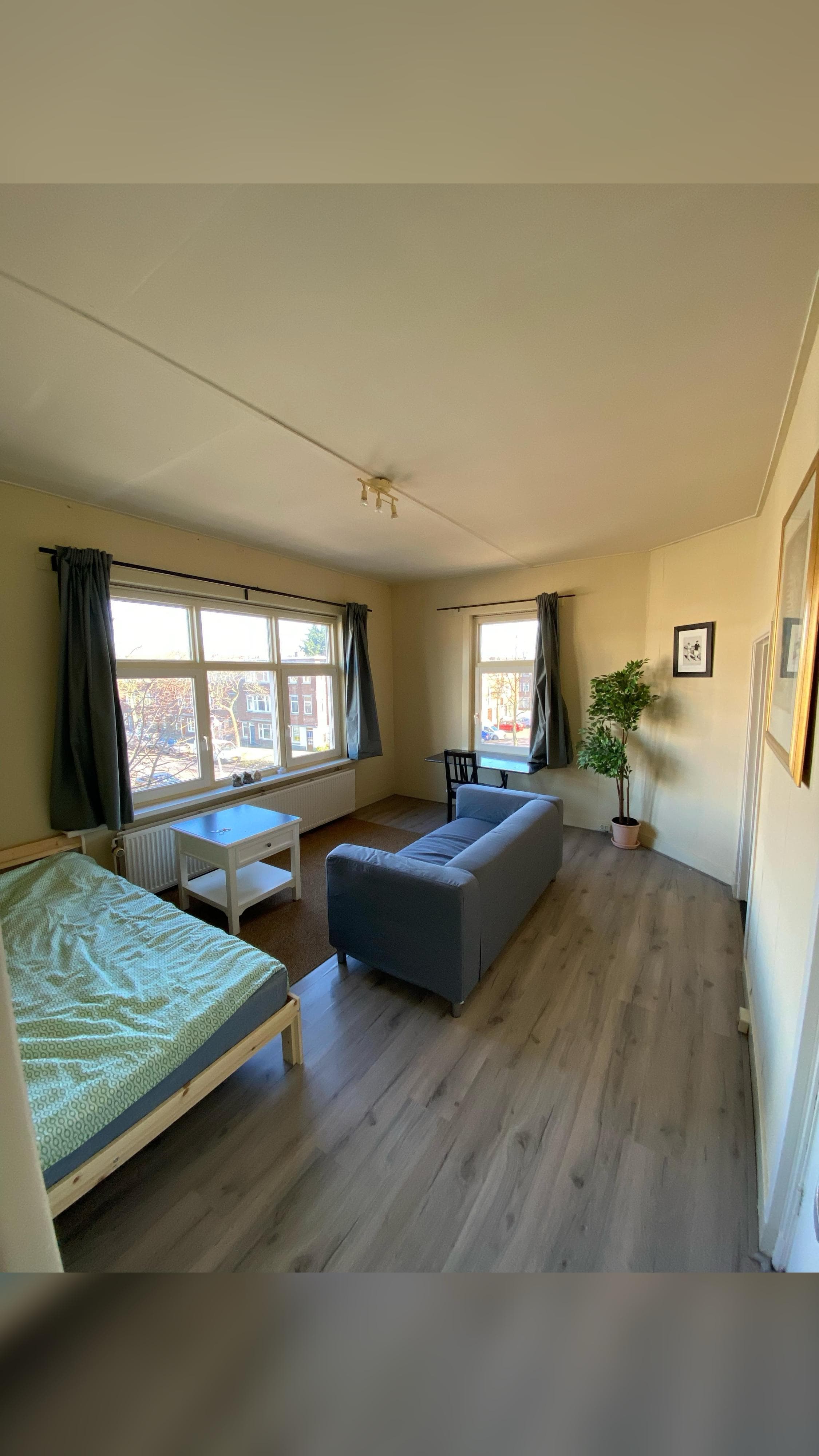 Van Zeggelenlaan, Den Haag