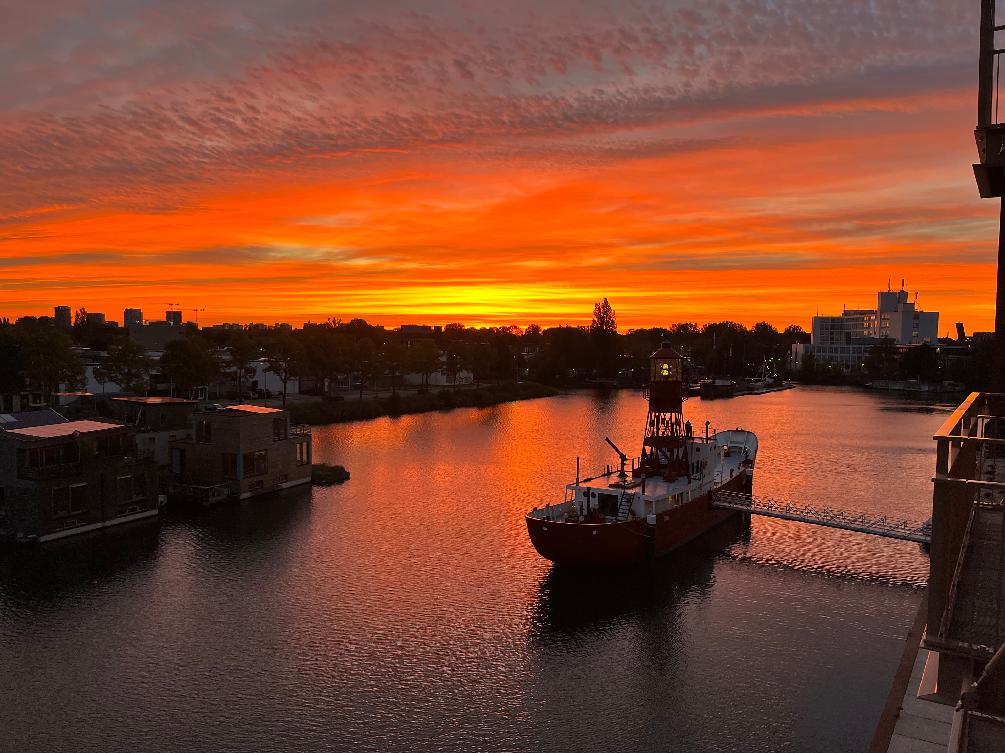 Driedistelstraat, Amsterdam