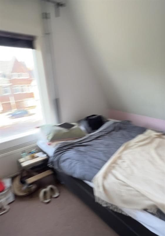 Van Hallstraat, Delft