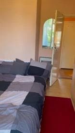 Dr Zamenhofstraat, Schiedam