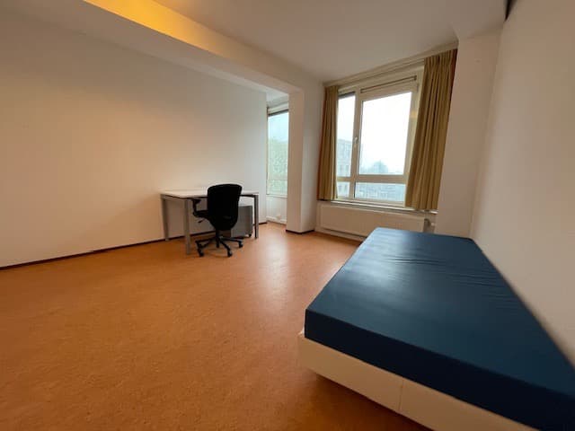 Stadsbrink, Wageningen