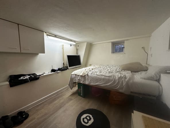 Zuiderpark, Groningen