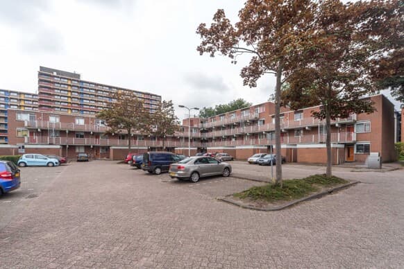 Laveibos 252 zoetermeer